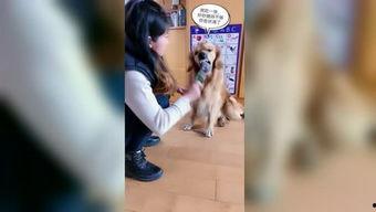 今日奇闻爆料视频大全,揭秘今日全网爆笑奇闻视频大盘点